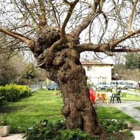 Le Torri Oda ve Kahvaltı